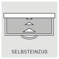 Germania | Selbsteinzug