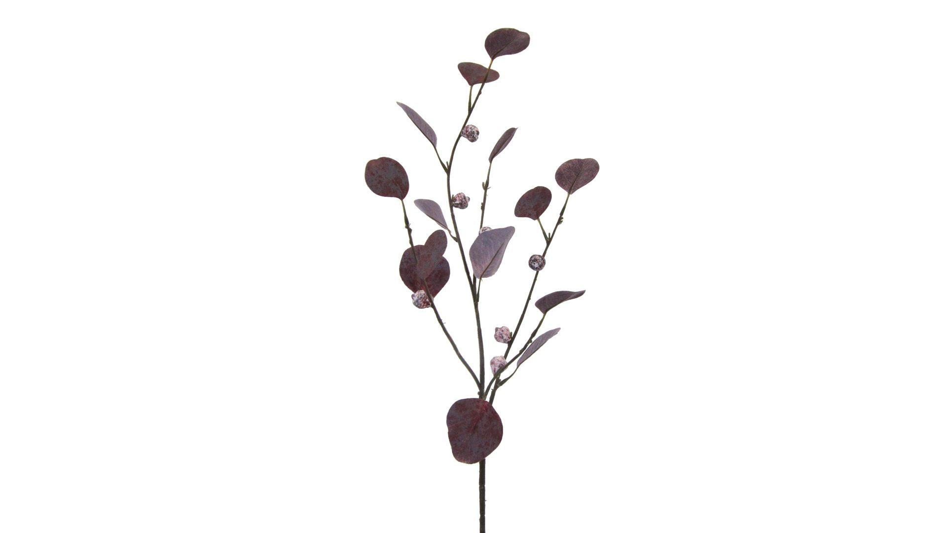 Blume Gasper aus Kunststoff in Lila Eukalyptuszweig künstlicher auberginefarbener Eukalyptuszweig – Höhe ca. 73 cm