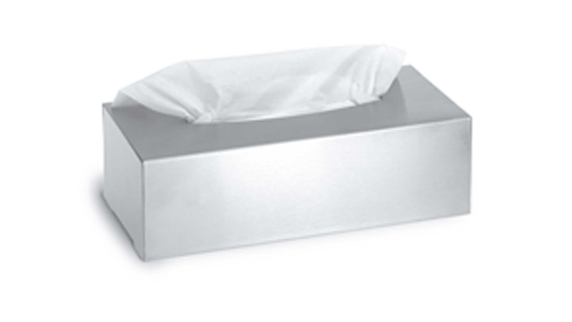 Papiertuchspender Blomus aus Metall in Metallfarben blomus Kosmetiktuchbox Nexio matter Edelstahl – ca. 24 x 8 x 12 cm