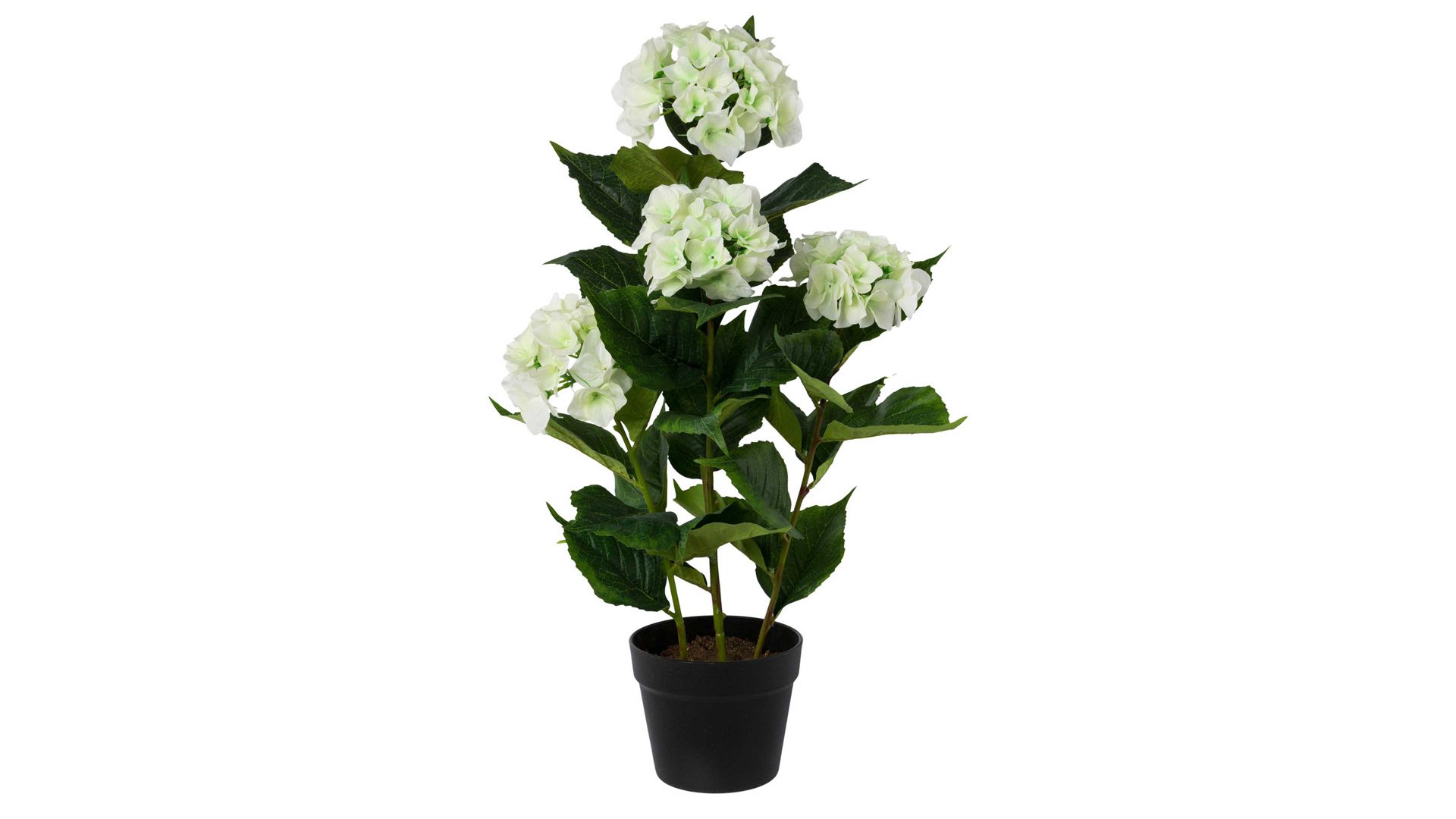 Pflanze Gasper gmbh aus Stoff in Weiß Hortensienpflanze weiße Textilblüten – Höhe ca. 69 cm