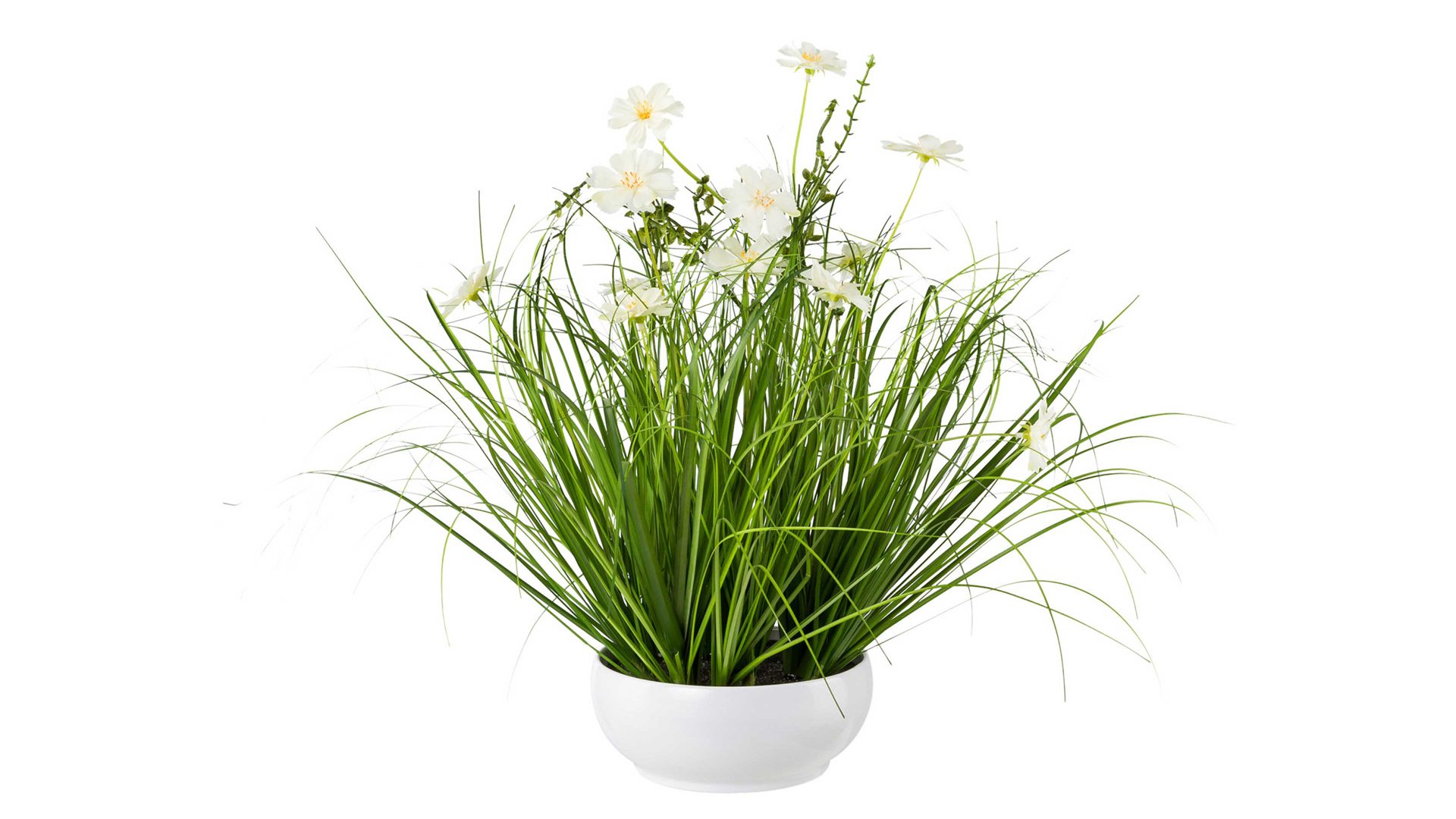 Pflanze Gasper gmbh aus Stoff in Weiß Grasbusch-Schale mit Cosmeablüten weiße Textilblüten & Gras – Durchmesser ca. 40 cm