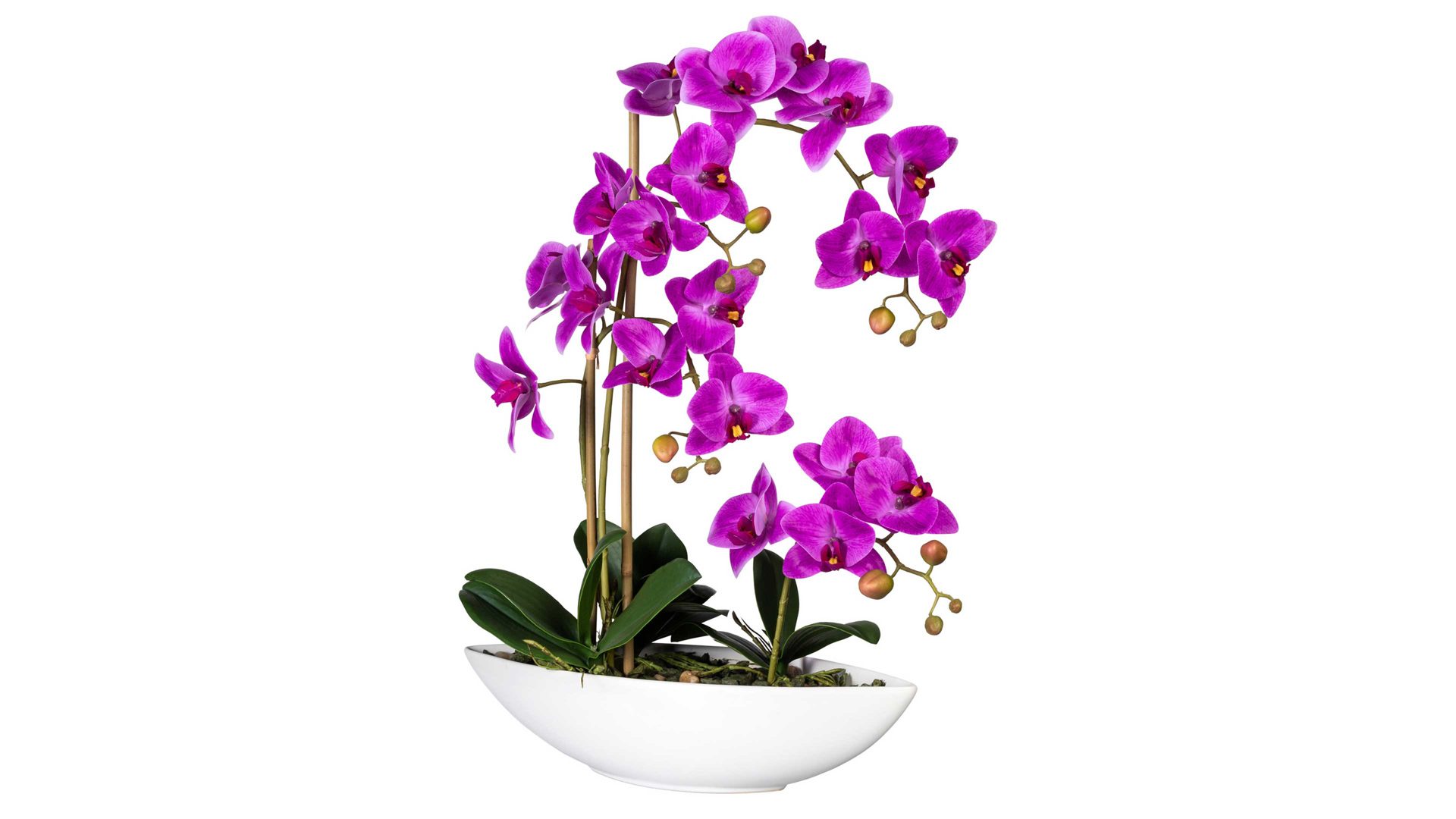 Pflanze Gasper aus Stoff in Lila Orchidee Phalaenopsis lilafarbene Textilblüten & weißer Keramiktopf – Höhe ca. 60 cm