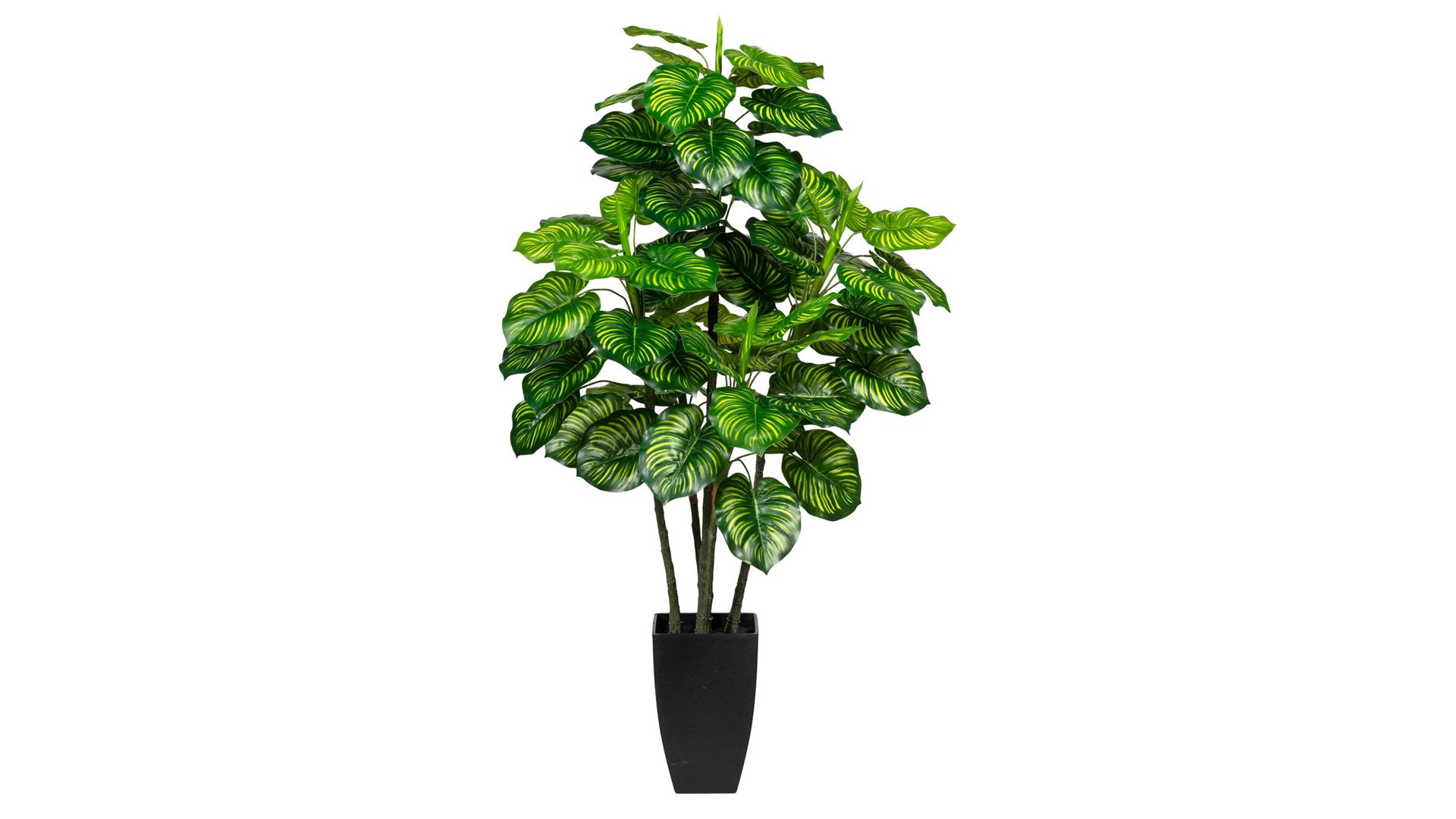 Pflanze Gasper aus Kunststoff in Grün Pfeilwurzgewächs Maranta grün-gelber Kunststoff & schwarzer Topf - Höhe ca. 105 cm