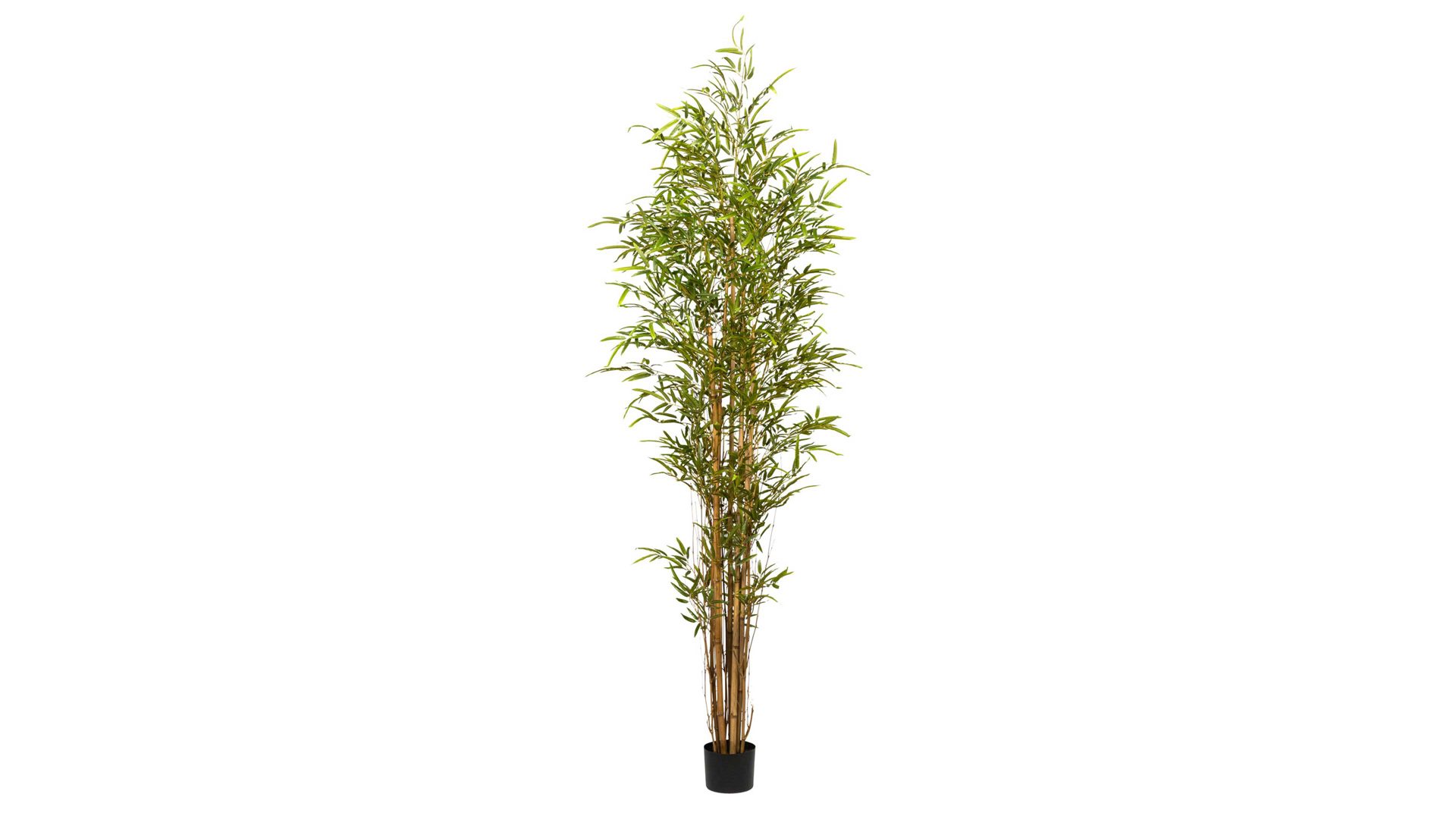 Pflanze Gasper aus Kunststoff in Grün Bambus grüner Kunststoff & schwarzer Topf – Höhe ca. 210 cm