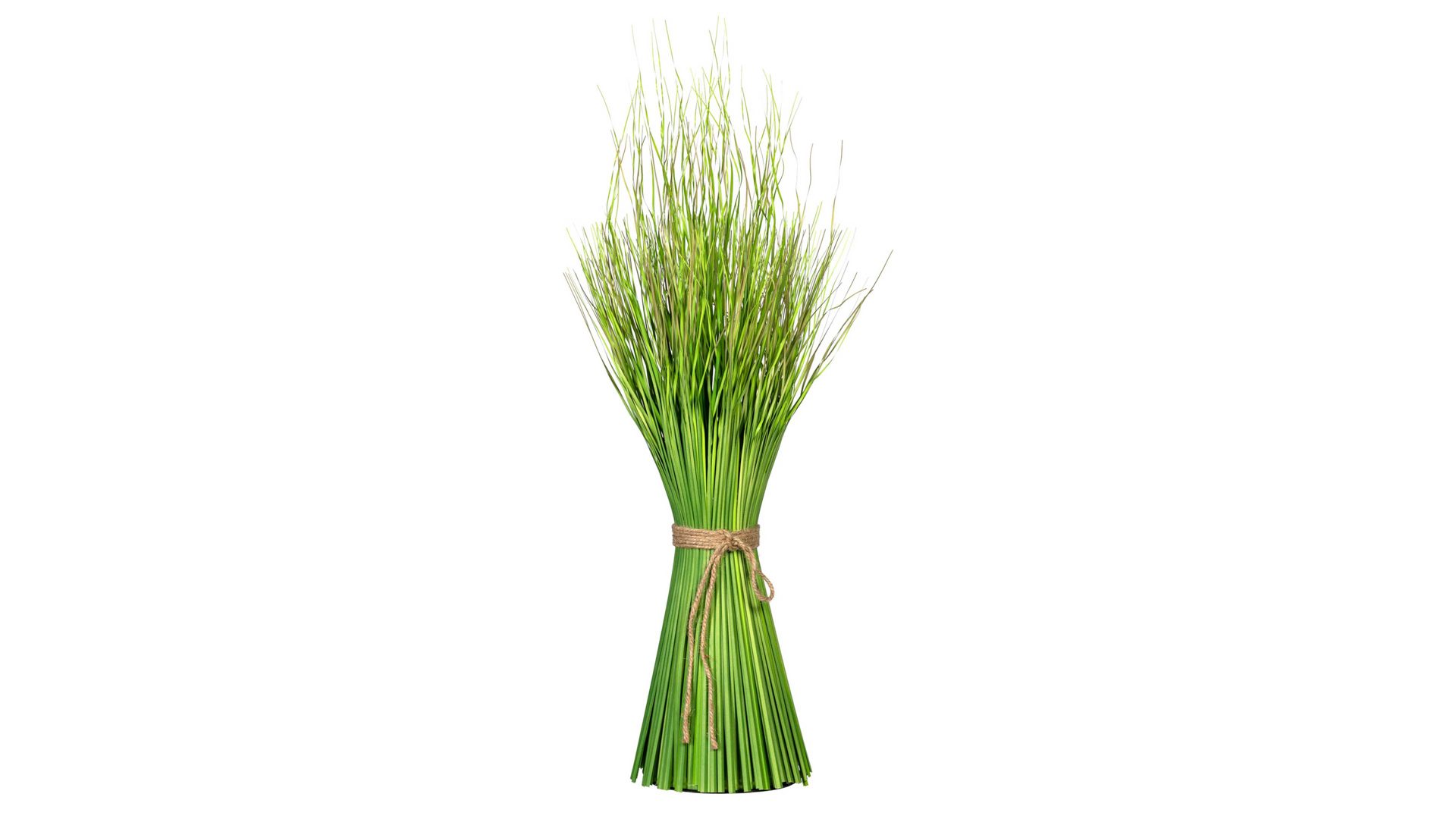 Pflanze Gasper aus Kunststoff in Grün Grasbusch Dancing Queen grüner Kunststoff – Höhe ca. 60 cm