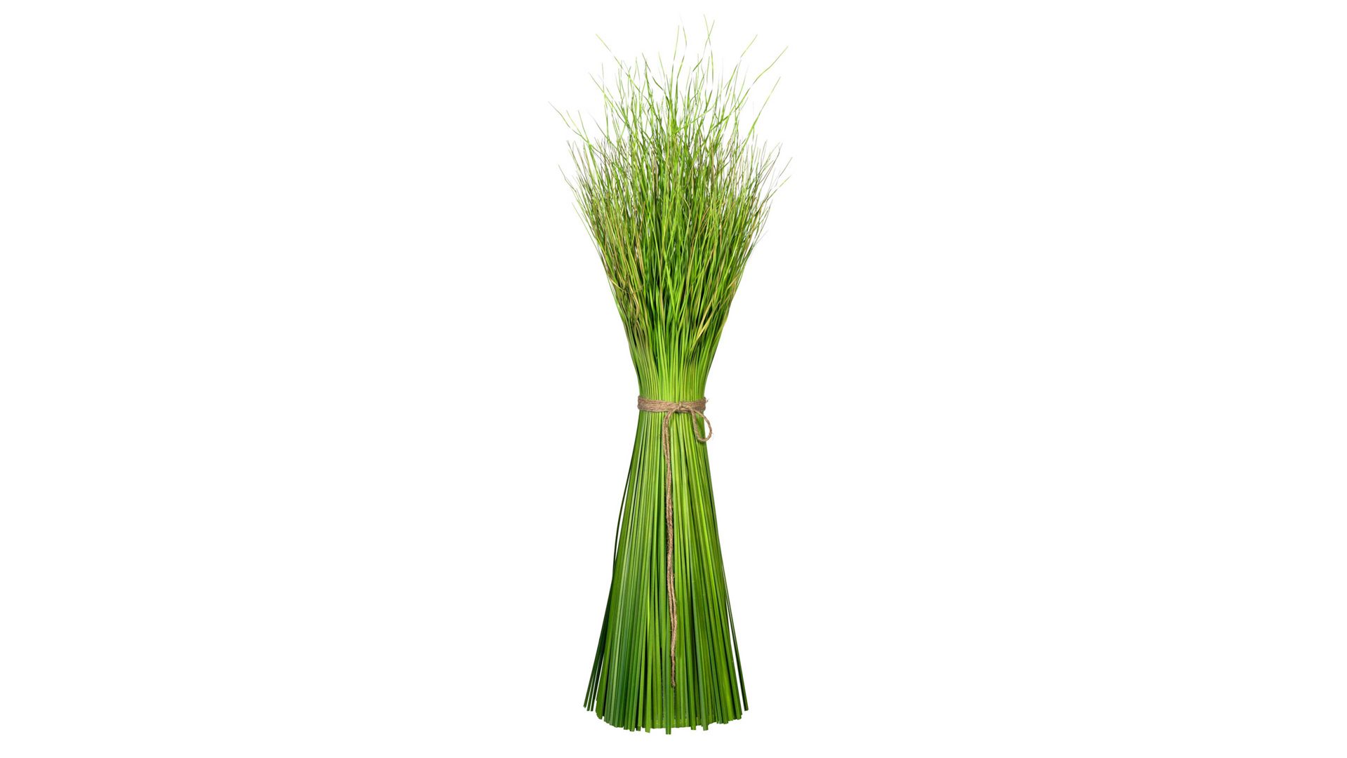 Pflanze Gasper aus Kunststoff in Grün Grasbusch Dancing Queen grüner Kunststoff – Höhe ca. 90 cm