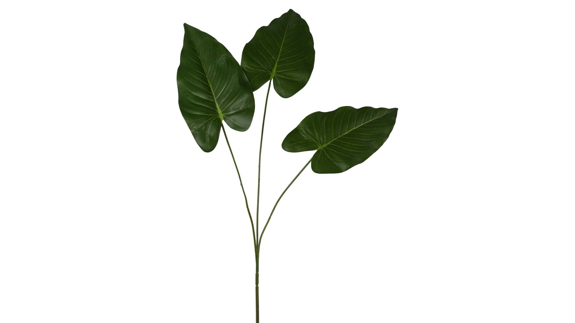 Blume Gasper aus Kunststoff in Dunkelgrün Anthurienzweig Peliney dunkelgrüner Kunststoff - Höhe ca. 77 cm