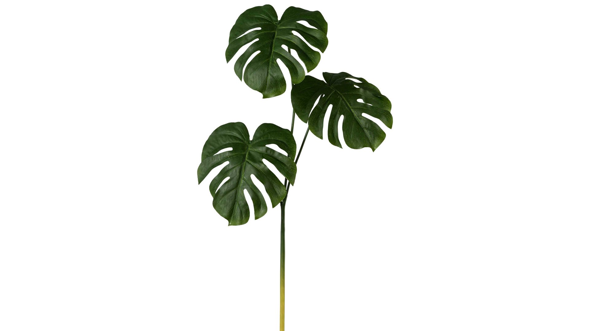 Blume Gasper aus Kunststoff in Dunkelgrün Monsterazweig Pepelino dunkelgrüner Kunststoff - Höhe ca. 75 cm