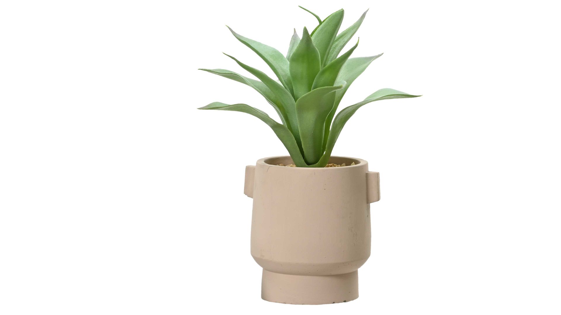 Pflanze Interliving BEST BUDDYS! aus Kunststoff in Beige Interliving BEST BUDDYS! Aloe Vera im Topf Kunststoff & perlfarbener Keramiktopf - Höhe ca. 25 cm