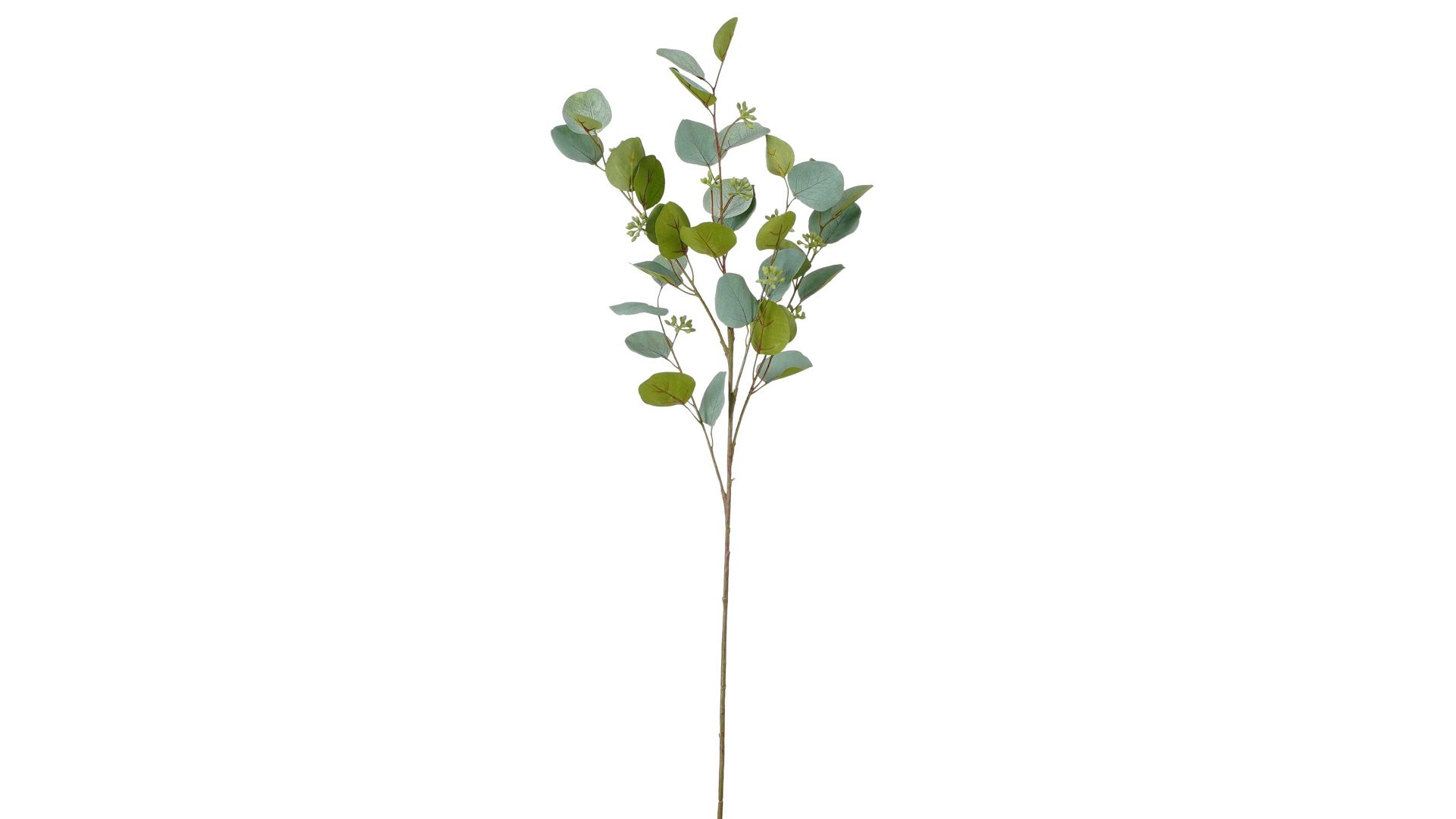 Zweig Edelman® aus Kunststoff in Grün Eukalytuszweig Kunststoff - Länge ca. 87 cm