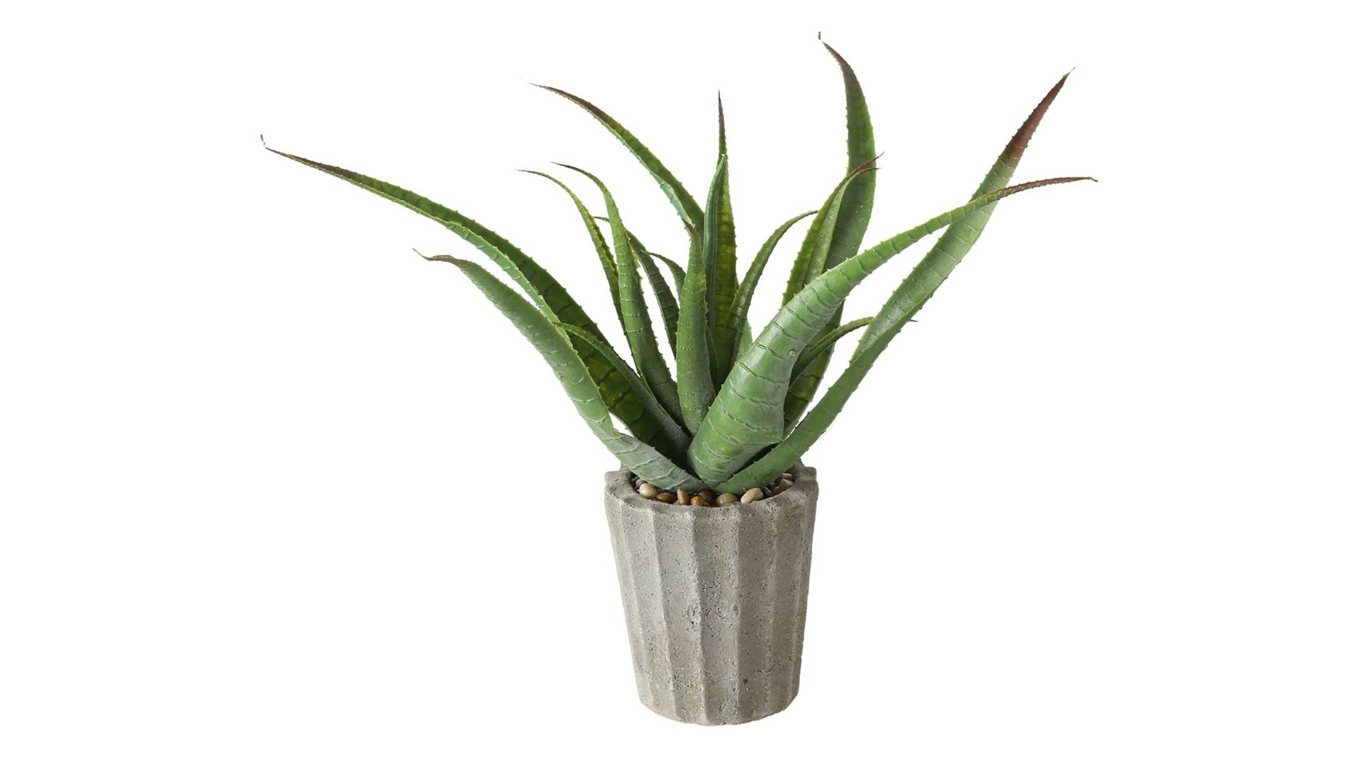 Pflanze Interliving BEST BUDDYS! aus Kunststoff in Dunkelgrün Interliving BEST BUDDYS! Aloe Vera grüner Kunststoff & Beton - Höhe ca. 50 cm