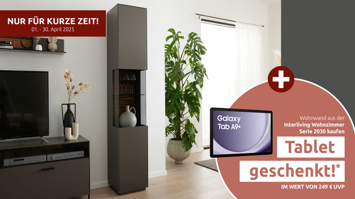 Vitrine Interliving aus Holz in Dunkelgrau Interliving Wohnzimmer Serie 2030 - Vitrine Wolfram Grey & Spaltholz - eine Tür, Breite ca. 45 cm
