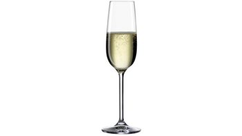 Sektglas Bohemia cristal aus Glas in Transparent BOHEMIA Cristal Sektglas Life Kristallglas – ca. 190 ml