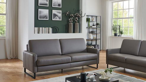 2,5-Sitzer COMFORT SMART aus Leder in Grau COMFORT SMART Anuk - 2,5-Sitzer elefantfarbenes Leder Soft-Line – Länge ca. 162 cm