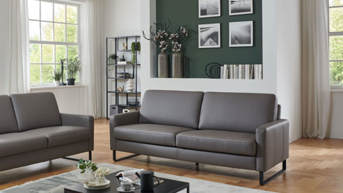 2,5-Sitzer COMFORT SMART aus Leder in Grau COMFORT SMART Anuk - 2,5-Sitzer elefantfarbenes Leder Soft-Line – Länge ca. 162 cm