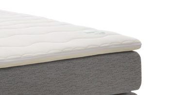 Boxspringbett Jockenhöfer aus Stoff in Grau Boxspringbett Eve graues Flachgewebe 142.09 – Liegefläche ca. 120 x 200 cm