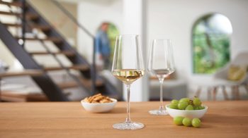 Weißweinglas Leonardo | glaskoch aus Glas in Transparent LEONARDO Rieslingglas Puccini TEQTON®-Kristallglas – Fassungvermögen ca. 400 ml