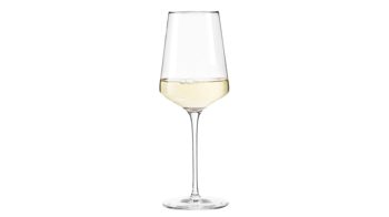 Weißweinglas Leonardo | glaskoch aus Glas in Transparent LEONARDO Rieslingglas Puccini TEQTON®-Kristallglas – Fassungvermögen ca. 400 ml