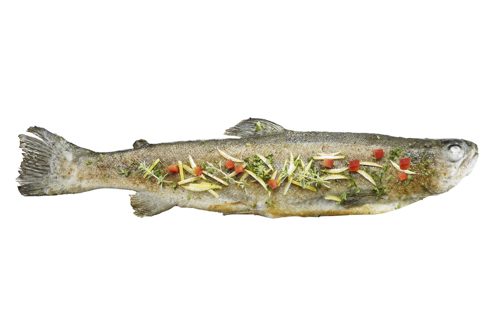 Gefu® in Edelstahl GEFU® Fischhalter BBQ Hochwertiger Edelstahl