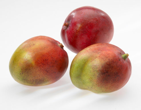 Küchenhelfer Gefu aus Kunststoff in Weiß GEFU Parti Mangoteiler hochwertiger Edelstahl & Kunststoff