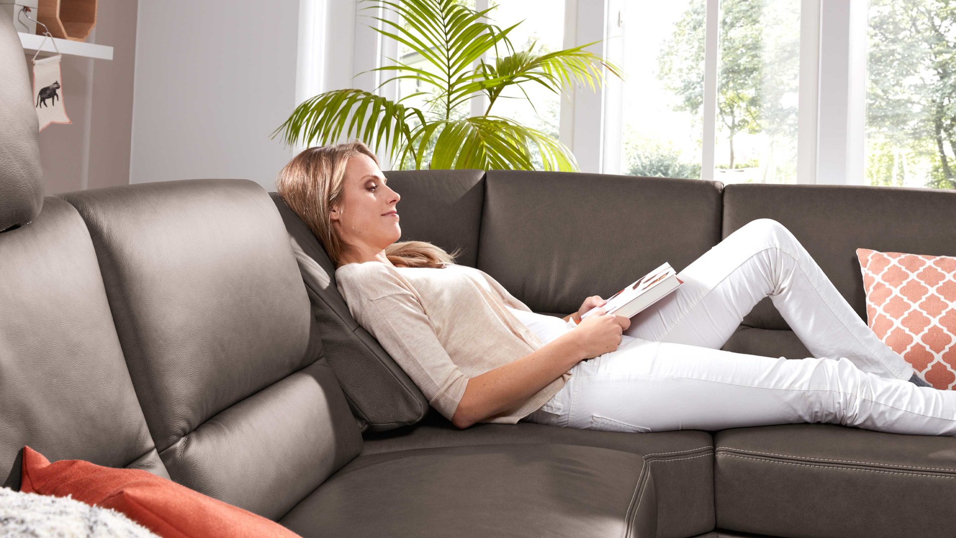 Funktion modulmaster aus Metall in Transparent Modulmaster MM-PN1049 - Relaxrücken RR Funktions-Mehrpreis