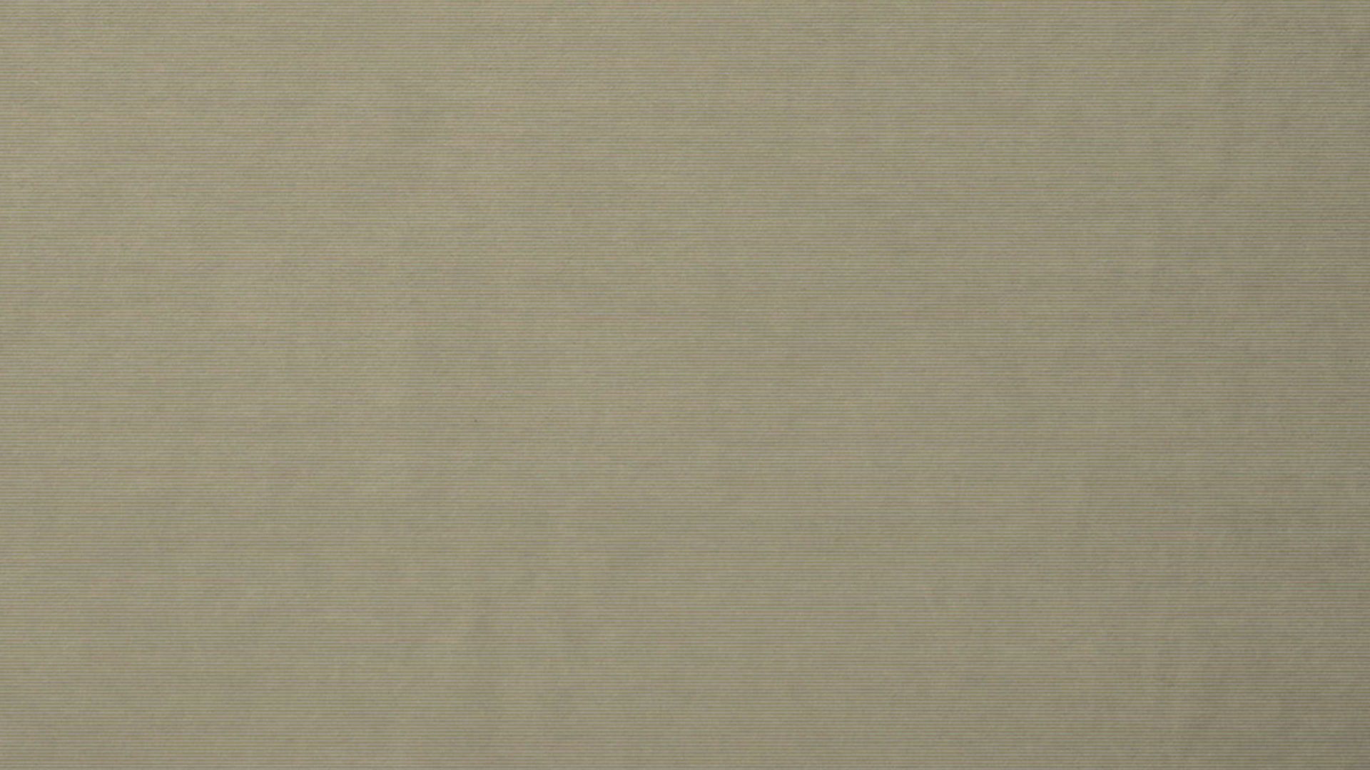 Wohndecke Biederlack® aus Stoff in Grün JOOP! Wohndecke Melange Doubleface Oliv & Natur – ca. 150 x 200 cm