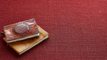 Webteppich Golze | astra aus Naturfaser in Dunkelrot ARMADA Teppich Cancun rubinroter Sisal - ca. 65 x 140 cm