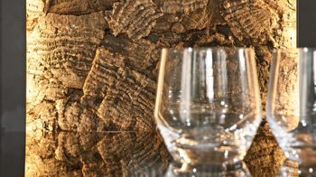 Highboard Interliving aus Holz in Holzfarben Interliving Wohnzimmer Serie 2025 - Highboard Wildeiche, Anthrazit & Kork - vier Türen, eine Schublade, Breite ca. 116 cm