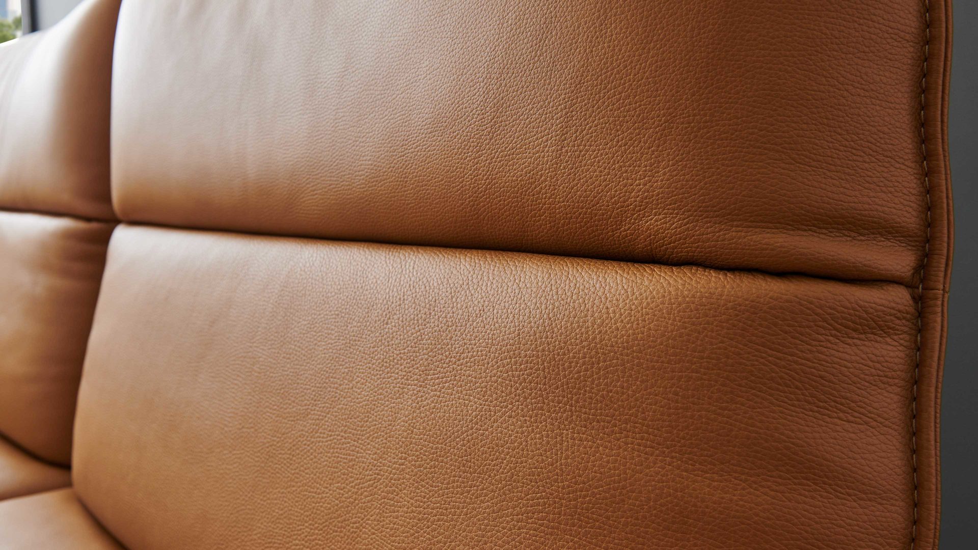 2,5-Sitzer Koinor aus Leder in Hellbraun KOINOR Polstermöbel Serie Caio - 2,5-Sitzer ockerfarbenes Leder Bonita - Länge ca. 234 cm