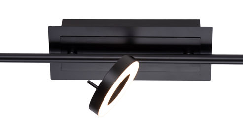 Strahler / Spot Paul neuhaus aus Metall in Anthrazit Paul Neuhaus Deckenstrahler Sileda anthrazitfarbenes Metall - Länge ca. 67 cm