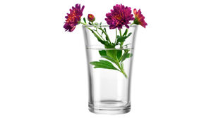 Vase Leonardo | glaskoch aus Glas in Transparent LEONARDO Vase Bloom Klarglas – Höhe ca. 22 cm