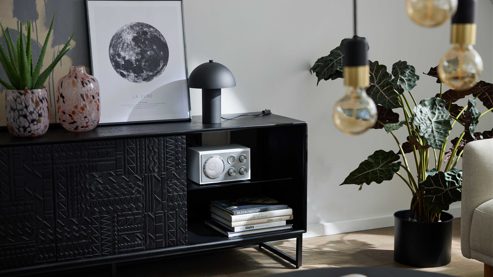 Lowboard Roomio® aus Holz in Schwarz Roomio No. 2001 - Lowboard schwarzes Mangoholz - zwei Türen, Länge ca. 160 cm