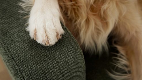 Einzelkissen Interliving aus Stoff in Grün Interliving Sofa Serie 4303 – Nierenkissen moosgrüner Pfotenstoff Cyber - ca. 58 x 25 cm