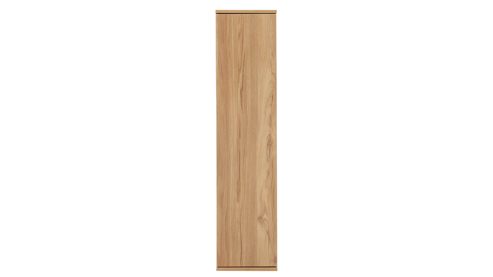 Wohnwand Interliving aus Holz in Holzfarben Interliving Wohnzimmer Serie 2031 - Wohnwand EB25701 Risseiche - Länge ca. 257 cm